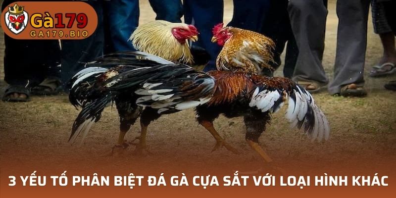 3 yếu tố phân biệt đá gà cựa sắt với loại hình khác