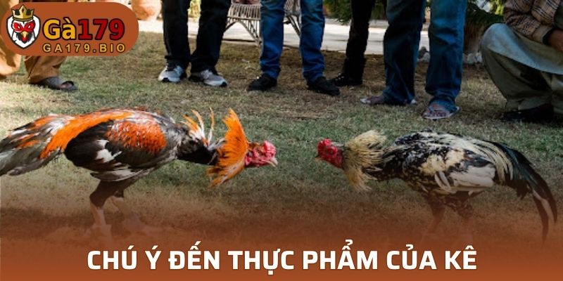 Chú ý đến thực phẩm của kê
