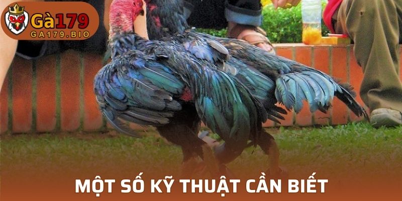 Một số kỹ thuật cần biết từ các chuyên gia