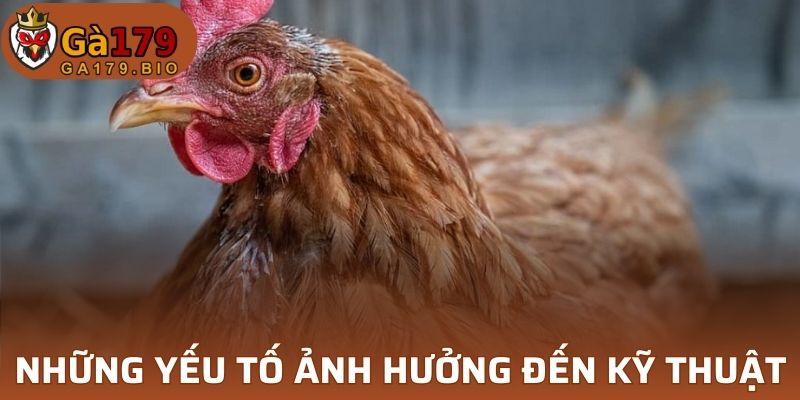 Những yếu tố ảnh hưởng đến kỹ thuật