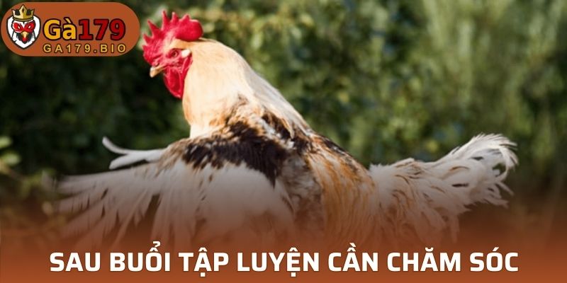 Sau buổi tập luyện bạn cần biết cách chăm sóc