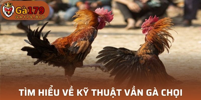 Tìm hiểu về kỹ thuật vần gà chọi