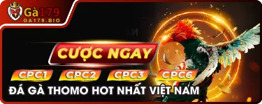 baner khuyen mai-ga179-04 Banner Khuyến Mãi GA179