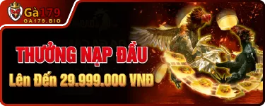 baner khuyen mai-ga179-06 Banner Khuyến Mãi GA179