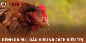 Bệnh gà rù