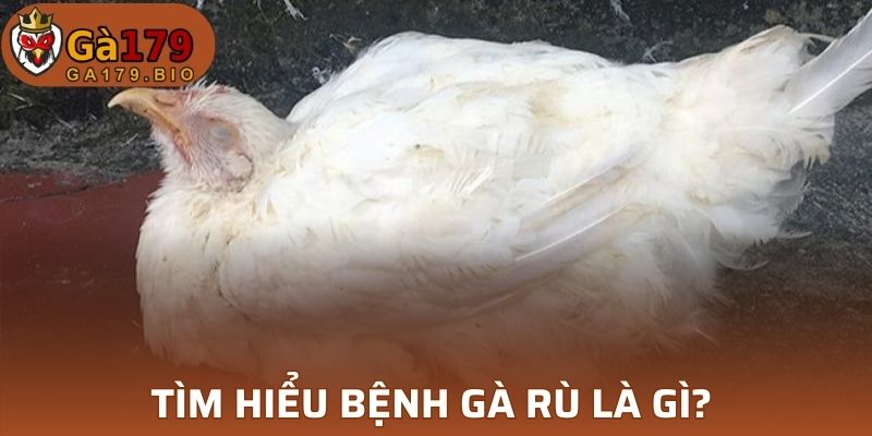 Bệnh gà rù là gì ?