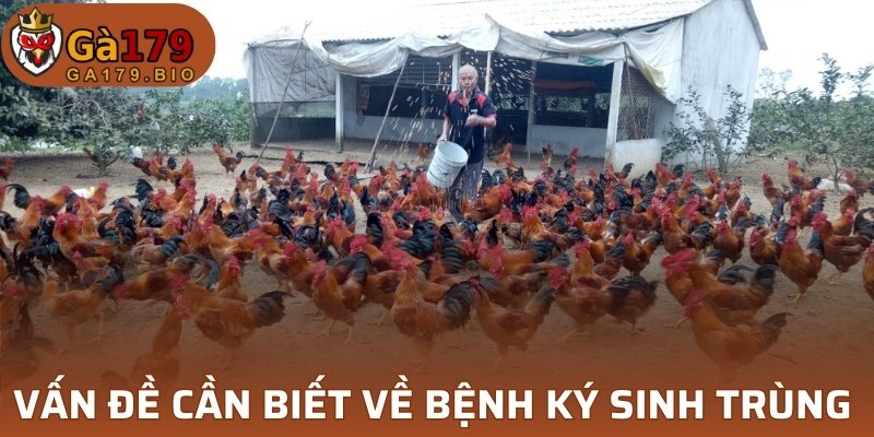 Bệnh ký sinh trùng đường máu