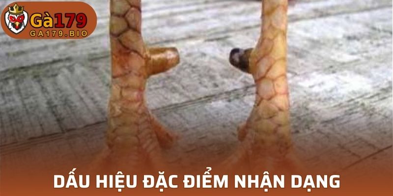 Biện pháp hỗ trợ nhận biết