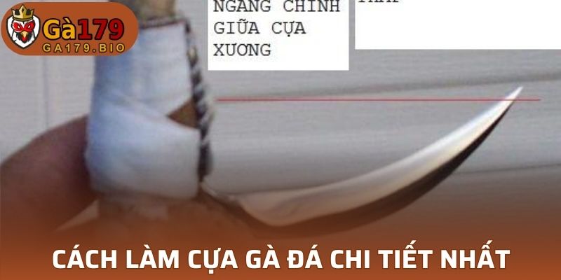 Cách làm cựa gà đá chi tiết 2025