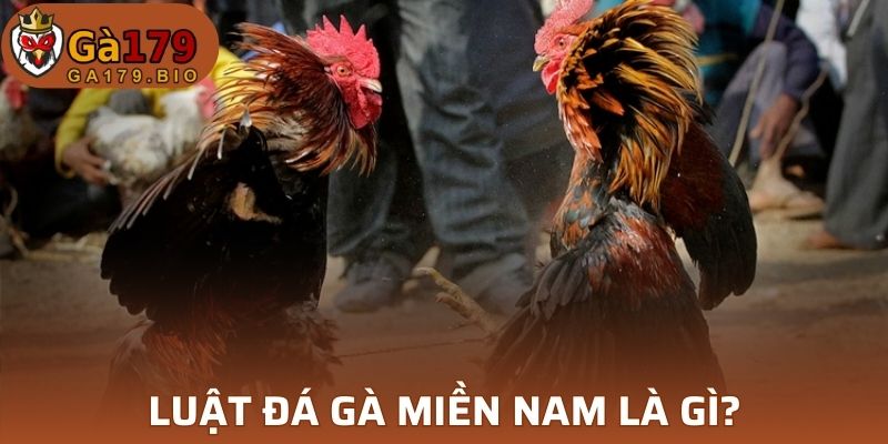 Cách tham gia và chơi ĐG đúng luật mới nhất năm nay