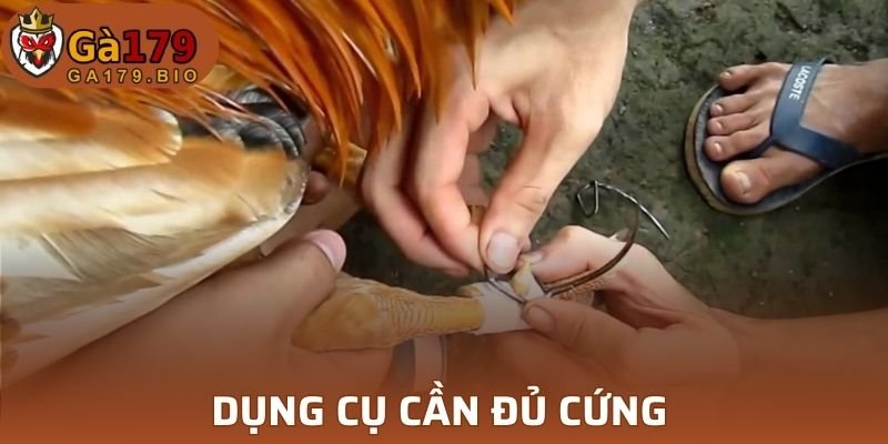 Cựa cần đủ cứng để không bị gãy