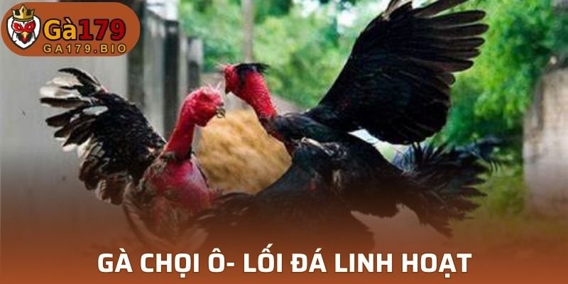 Điểm danh những dòng gà sở hữu cựa