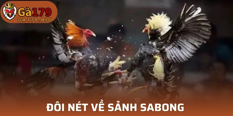 Đôi nét về sảnh Sabong 