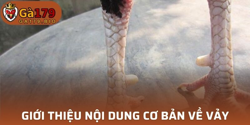 Khái quát thông tin về loại vảy