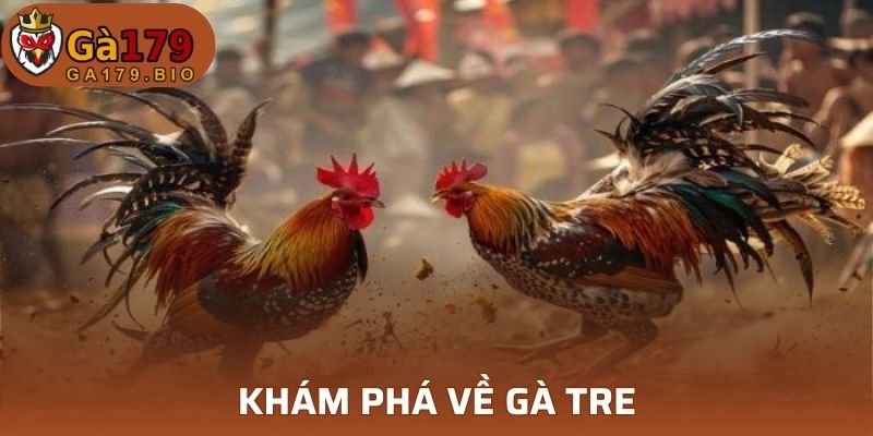 Khám phá về gà tre