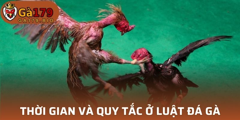 Làm trọng tài đúng cách cùng GA179