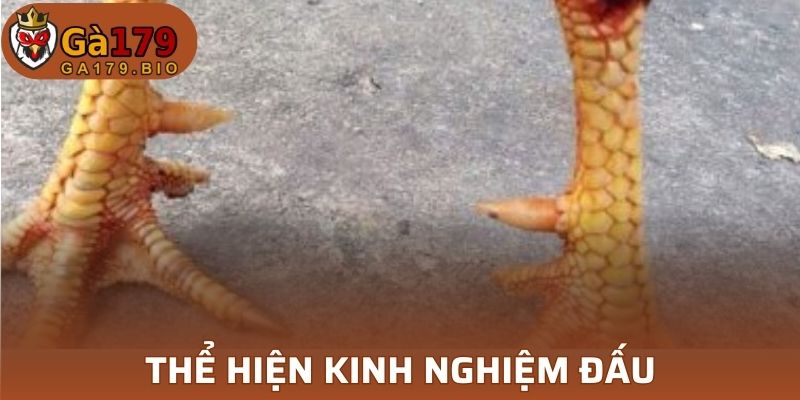 Lên kế hoạch, chiến thuật hợp lý