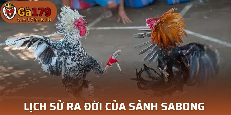 Lịch sử ra đời của sảnh Sabong 