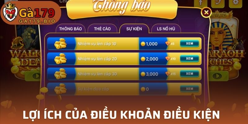 Lợi ích của Điều Khoản Điều Kiện trong cá cược online