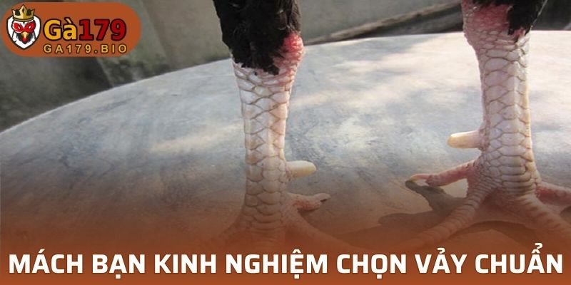 Mách bạn kinh nghiệm chọn vảy hiếm cực chuẩn
