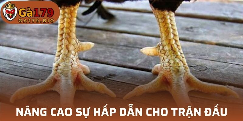 Mang đến sức mạnh cực cao