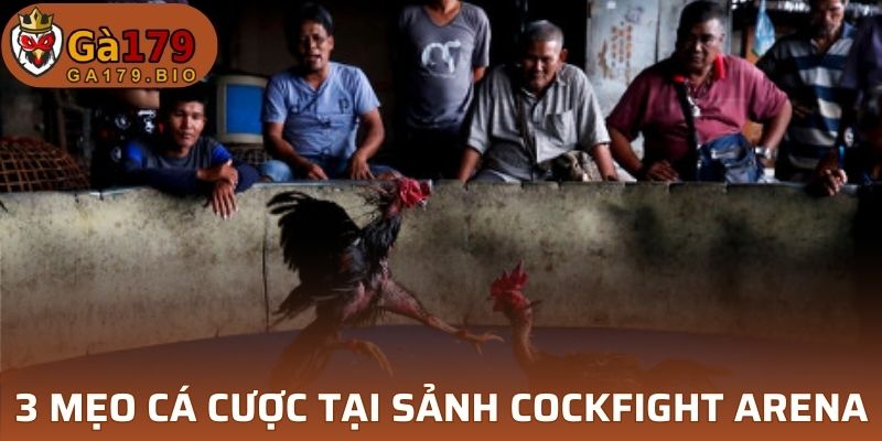 Mẹo cá cược Cockfight Arena