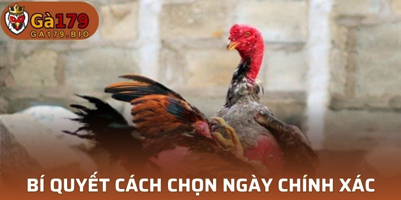 Mẹo để áp dụng được ngày thi đấu đẹp bạn nên biết