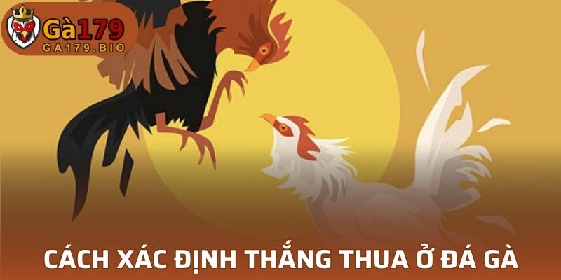 Mẹo để có thể áp dụng cách gọi ĐG trong GA179