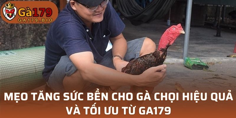 Mẹo tăng sức bền cho gà chọi