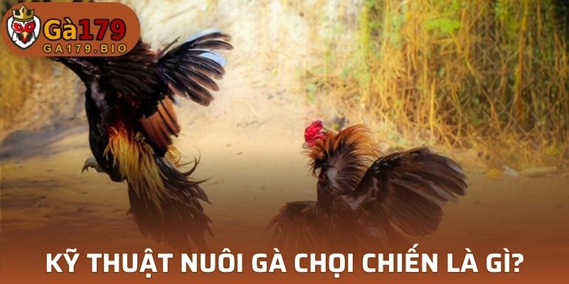 Một số điều cơ bản khi chăn nuôi GC
