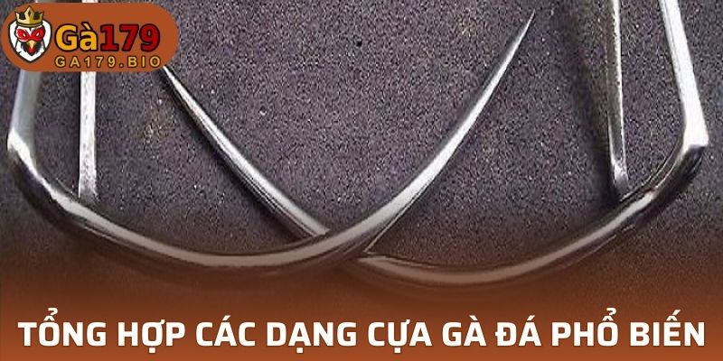 Một số loại hình cựa gà thường gặp