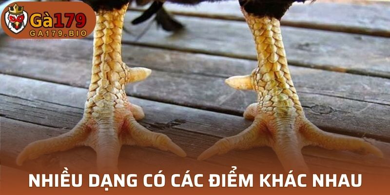 Nhiều dạng có các điểm khác nhau