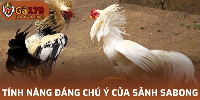 Những tính năng đáng chú ý của sảnh Sabong