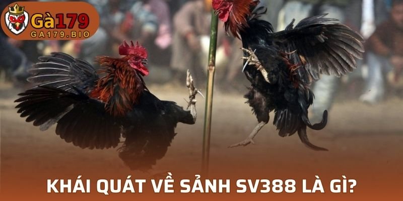 Nơi đây là nhà cái uy tín