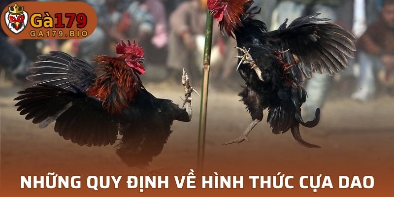 Quy định đá gà cựa dao