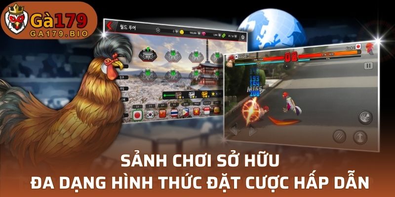 Sảnh chơi đa dạng hình thức đặt cược hấp dẫn