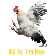 Sảnh Đá Gà Cựa Dao