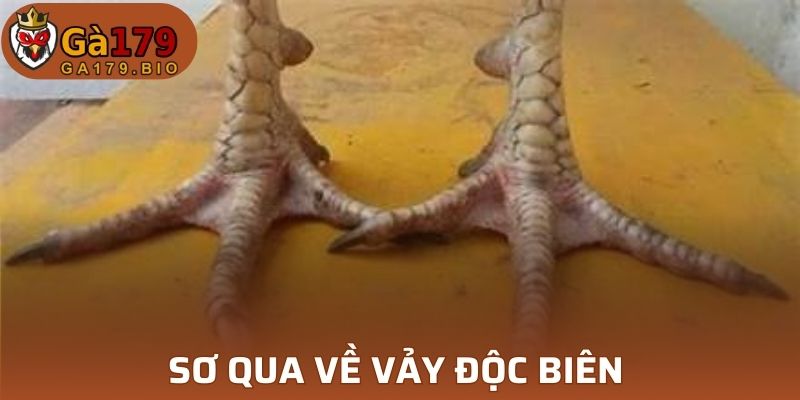 Sơ qua về vảy Độc Biên