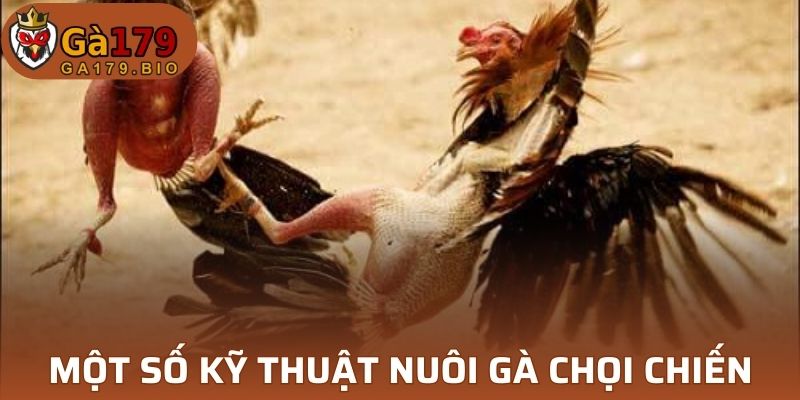 Sức khỏe GC tốt - Mang đến những chiến thắng vang dội cho người chơi