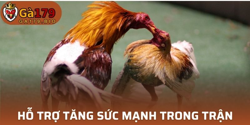 Tấn công và phản đòn kịch liệt