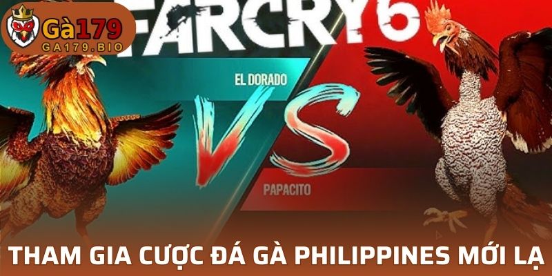 Tham gia cược đá gà Philippines mới lạ