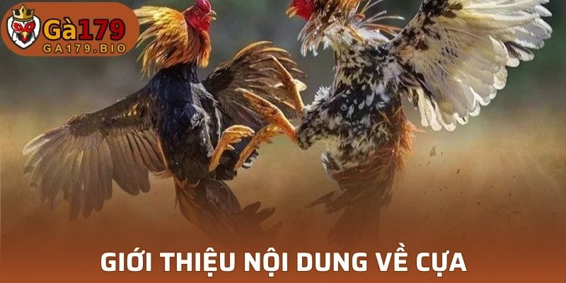 Thông tin cơ bản về loại cựa