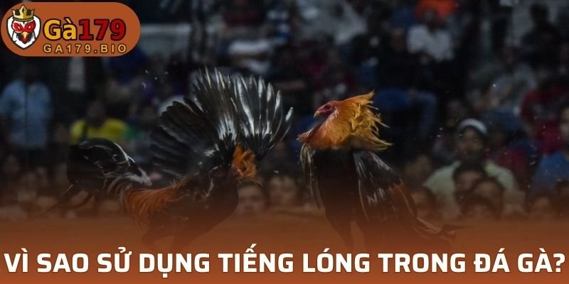 Tiếng lóng có vai trò cần thiết 