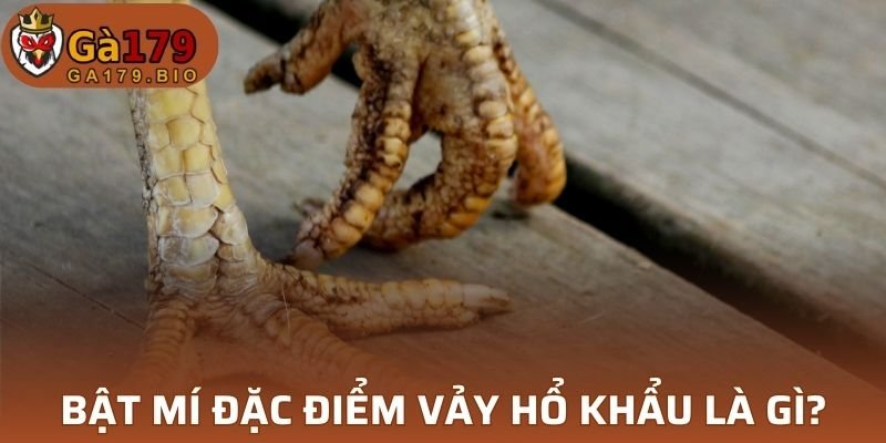 Vảy Hổ Khẩu có đặc điểm vô cùng đặc trưng