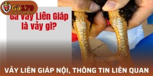 Vảy Liên Giáp Nội