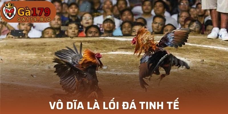 Vô dĩa chỉ lối đá rất tinh tế 